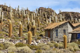 Peru_and_Bolivia_2025 (29/66)